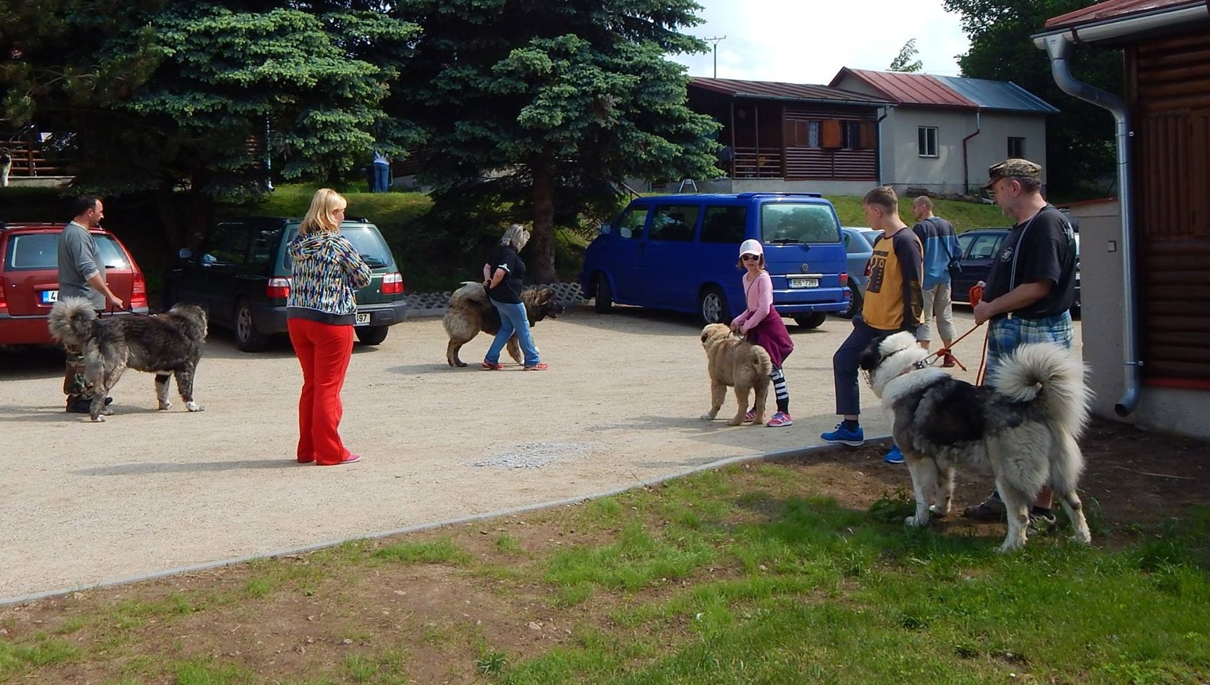 Ratmírov 2016