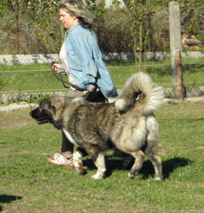 Tskaro Chita 