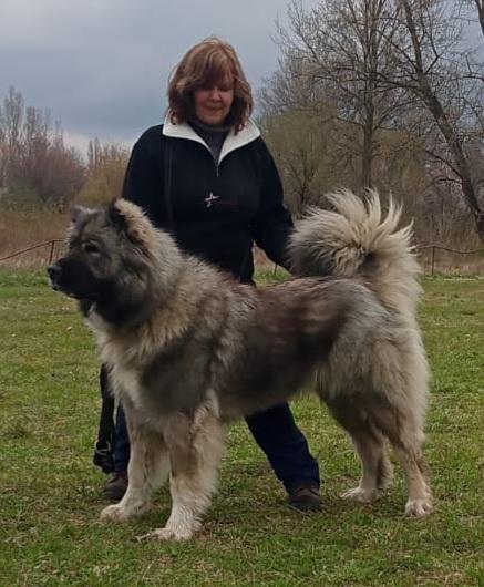 Nabi Elpis iz Severnoy Fivaidy PROSTORI DONA ERMA