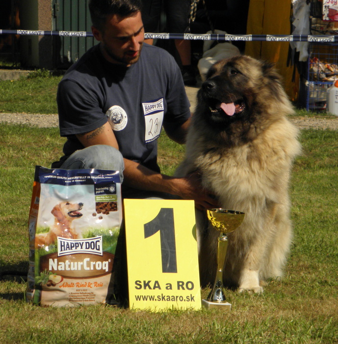 V1_CAC_KV_BOS_-_DERZKAYA_SIBIRYACHKA_IZ_SVETLOGO_DOMA_-_t.ampion_feny