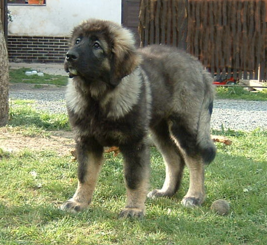 Byrranga