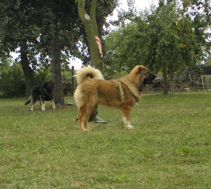 20120825.Alan1