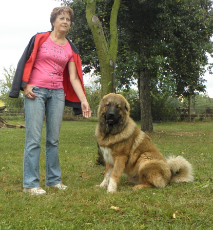 20120825.Alan3