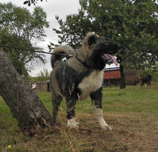 20120825.Chita10