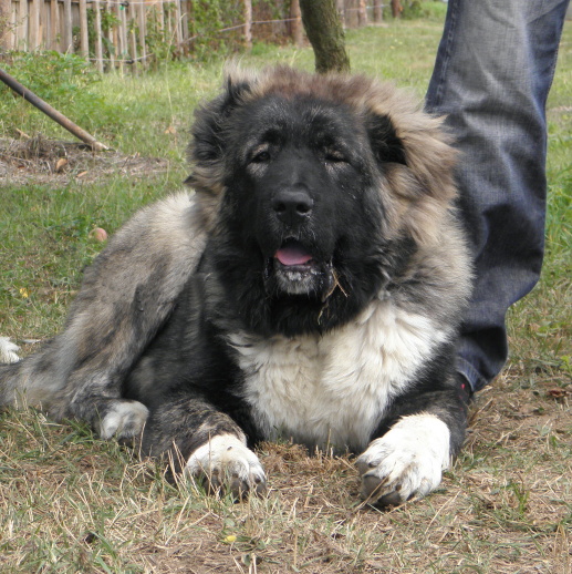 20120825.Chita8