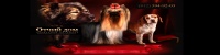 CHS OTCHEGO DOMA CHS OTCHEGO DOMA