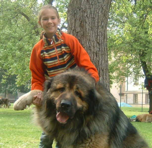 Arbat Arbat