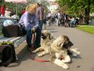Lída Švecová a její blízcí